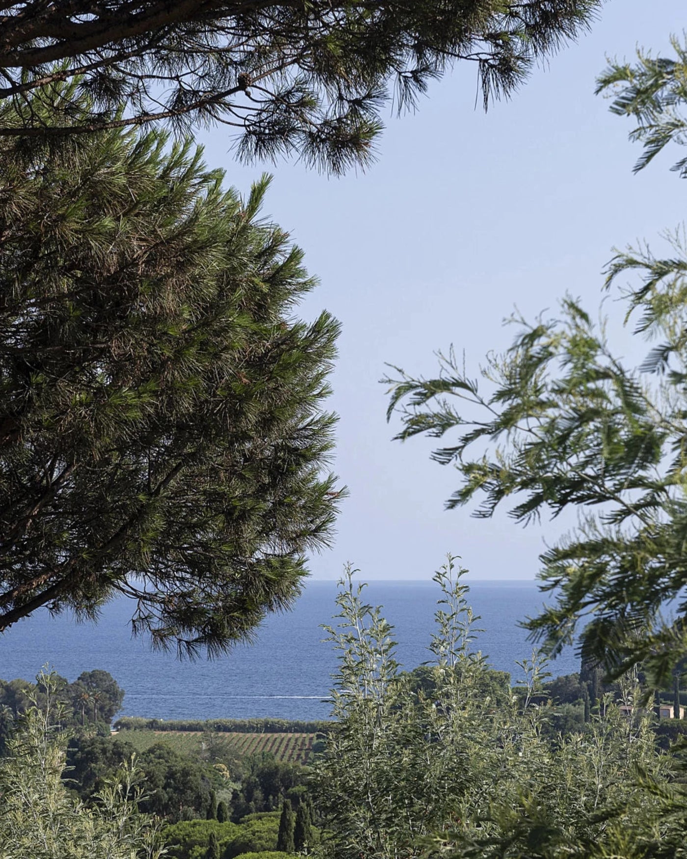 A Quiet Kind Of Strength