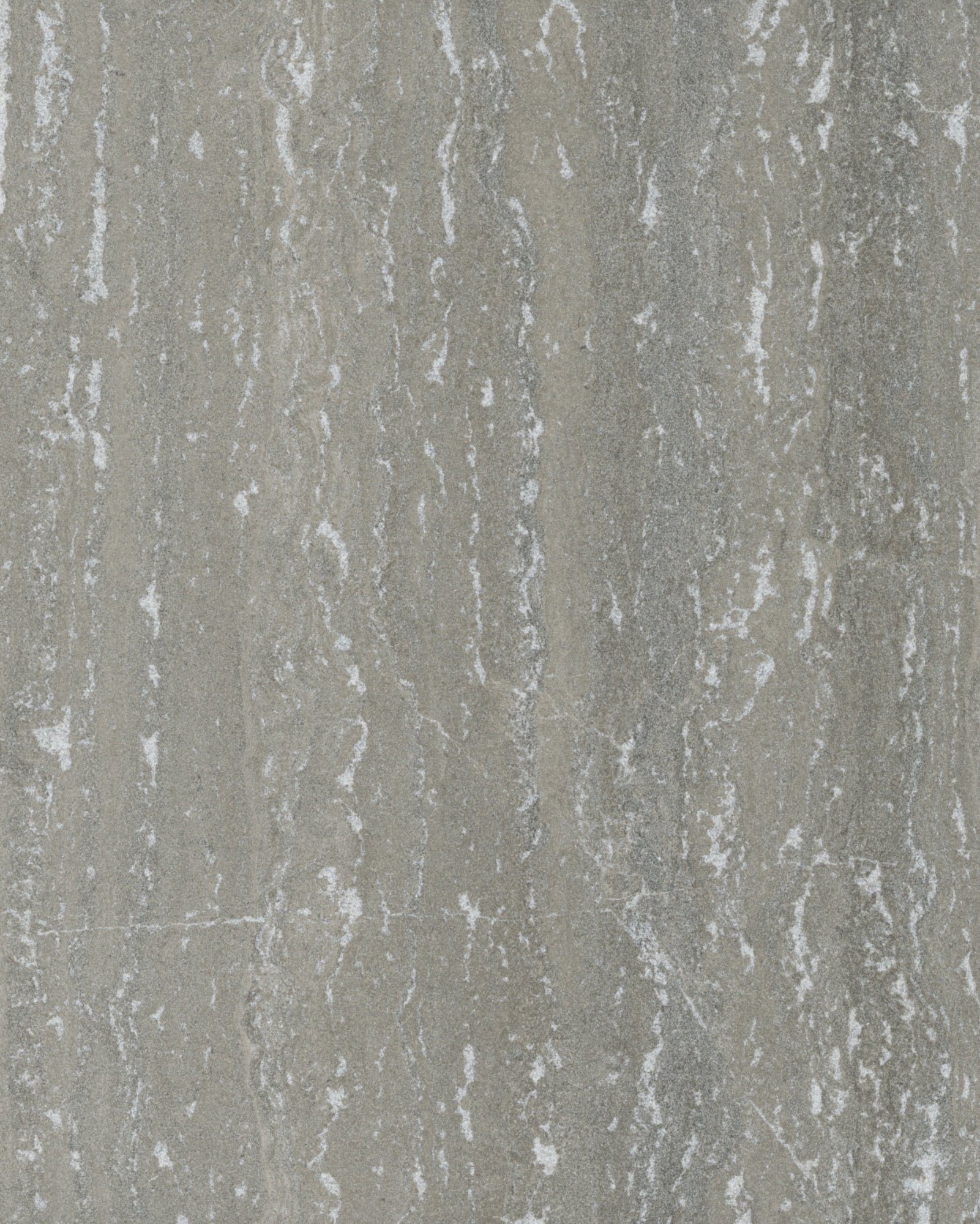 Autumnus Dark Agrippa Fine