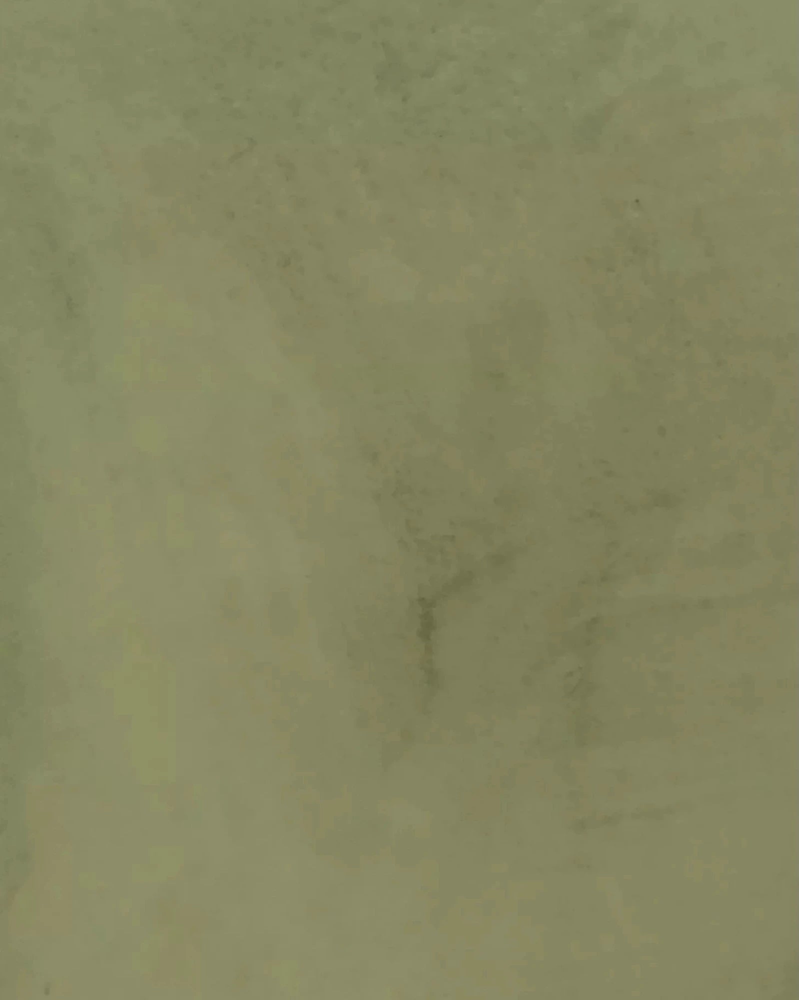 Light green textured wall finish for luxury residential interior design