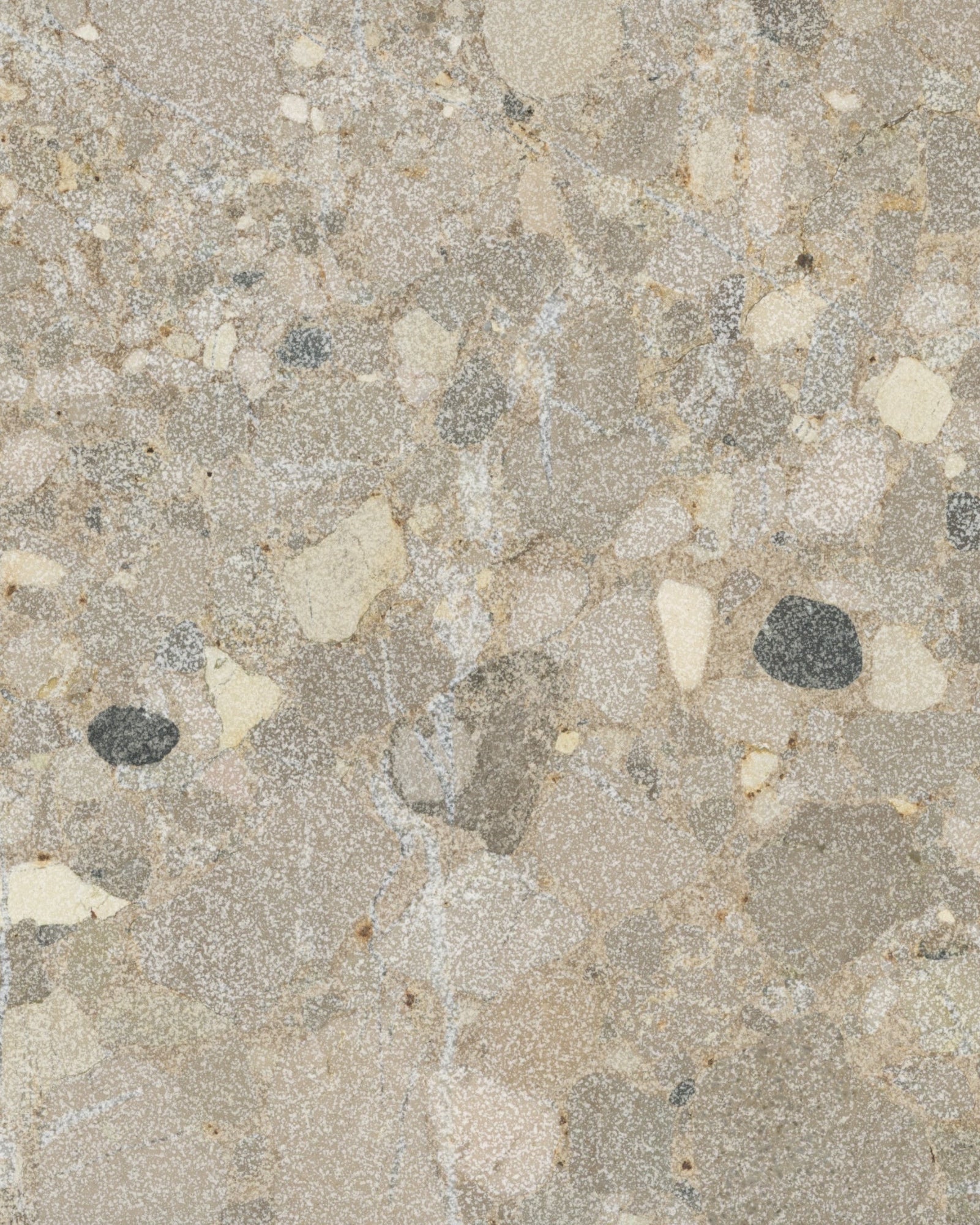 Brechia Di Nola Poco Veccio